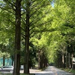 割烹 一の矢 - これはどこかで観た構図^_^