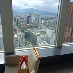 サッポロ ビュー - 