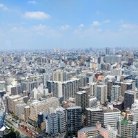 アーティスト カフェ - 窓からの展望