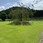 江口だんご本店 - 中庭