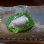 鮨匠 のむら - 勘八幼魚(開聞岳沖産、釣り、2.4kg、2日寝かせ)