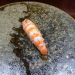 鮨匠 のむら - 車海老(鹿児島県坊津産)