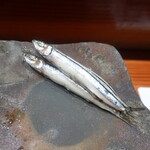 鮨匠 のむら - 浅煮黍魚子(キビナゴ、甑島列島産、雌、子持ち)