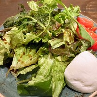 オービカ モッツァレラバー 梅田店 - 