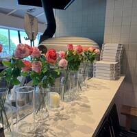 CODA ROSSA -  CODA ROSSA -