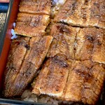 うなぎのなんけ - うな重　特