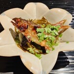 富小路 やま岸 - 【写真⑪】鮎(嵐山)の炭火焼きの鮎ざく、太水雲(能登)、胡瓜、大葉