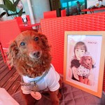 カフェ・スコーラ - 