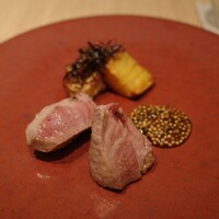 SCALAE - 