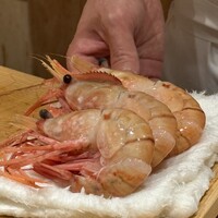恵比寿 鮨 ふじまさ - 