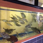 居魚屋　網元 - 