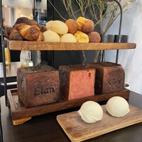 Élan - 