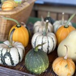 軽井沢発地市庭 - 