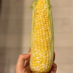 軽井沢発地市庭 - 