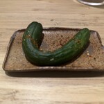 根津 焼鳥 照隅 - 