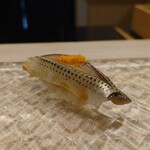 鮨 なんば - 小肌 36℃/19℃