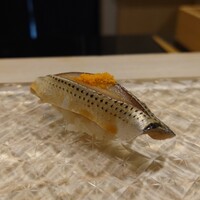 鮨 なんば 日比谷 - 小肌 36℃/19℃