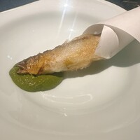 セルサルサーレ - 