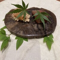 L'Arbre - 