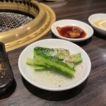 SATOブリアン - さっぱり胡瓜