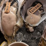 Shiki Ikebukuro Nishiguchi Eki Mae Ten