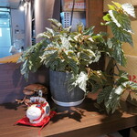 NIBOSHI MANIA - 置物。招き猫(風)と、カニ(ガザミ化ノコギリガザミ？)も置物になっている。