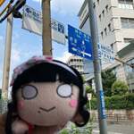 らぁ麺屋 はりねずみ - 