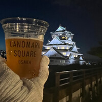 BLUE BIRDS ROOF TOP TERRACE -  BLUE BIRDS ROOF TOP TERRACE -