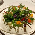 レフェルヴェソンス - 