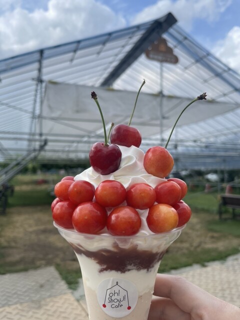 王将果樹園 - 天童（その他）の写真