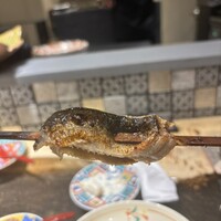 北海道炉端焼き 篝 - 