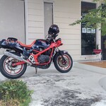 キャトル サンドイッチズ - 