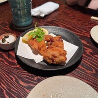 鳥ばか一代 - 