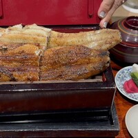 にょろ助 銀座 - 