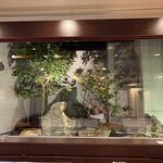 寿し輝 分店 - カウンター越しの中庭(冬が最高)