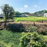 池内うどん店 - 