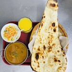 INDIAN NEPALI RESTAURANT ROILA - 料理写真: