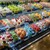 ケーキハウスショウタニ　 - 料理写真: