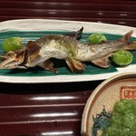 多仁本 - 鮎の塩焼き。揚げ銀杏と。今シーズン一等賞の鮎です！胡瓜酢でいただきます。もちろん頭から尻尾まで。