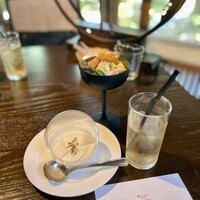 The 華紋 - 