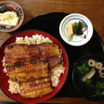 浜松 - うなぎ丼「特」