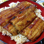 浜松 - うなぎ丼「特」アップ