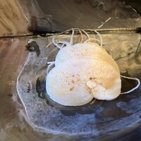 鎌倉山 本店 - 