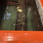 和風料理 魚作 - 