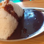 カレーの店 SPICE - ビーフ側の大盛り