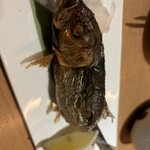 旨飯よか酒 ナナホシテントウ - 