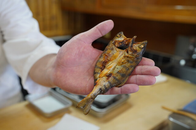 分福寿司 - 八木山動物公園（寿司）の写真