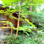257600300 - 人の手を入れすぎない、手が入ってることを気づかせない、無造作な美しさを湛える庭。 いいセンスですね。