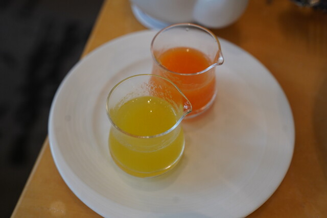 Fountain Hoteru Nikko Osaka photo 3