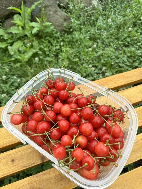 定山渓ファーム - 札幌市南区その他（ハンバーガー）の写真